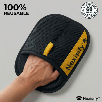 7 Reasons Pet Owners Are Ditching Pet Hair Tools for the PurePath Glove